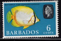 [Marine Life, type DU]