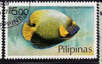 [Fish, type ANN]