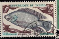 [Fish, tegund HO]