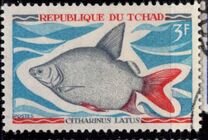 [Fish, tegund HP]