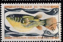 [Fish, tegund HQ]