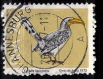 [Flora and Fauna, type NR]