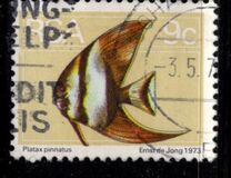 [Flora and Fauna, type NN]