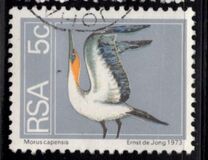 [Flora and Fauna, type NK]