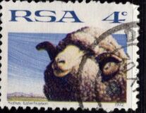 [Sheep and Wool Industry, タイプ LX]