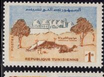 [Living in Tunisia, نوع DR]