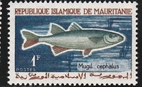 [Fishing, тип DR]