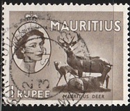 [Queen Elizabeth II - Local Motives, type CL]