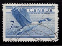 [Birds - Canada Goose, Typ GD]