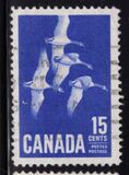 [Canada Geese, տեսակ JI]