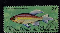 [Fish, type JA]