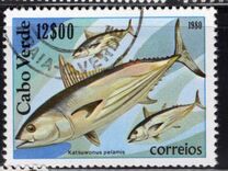 [Marine Life, type FM]