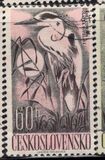 [Water Birds, type ZB]