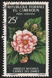 [Flowers, type FM]