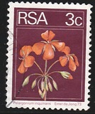 [Flora and Fauna, type NI]