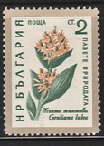 [Flowers, type AJU]