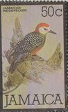 [Local Motifs - Birds and Sport, тип QH]