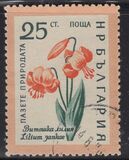 [Flowers, տեսակ AJW]