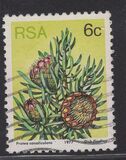 [Flora - Protea Plants, type PL]