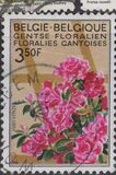 [flowers - Botanical Garden in Gent, Tipi ALM]