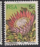[Flora - Protea Plants, type PK]
