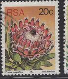 [Flora - Protea Plants, type PR1]