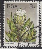 [Flora - Protea Plants, type PN]