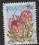 [Flora - Protea Plants, type PQ]