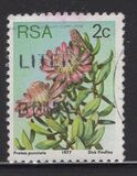 [Flora - Protea Plants, type PH]