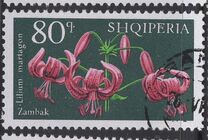 [Flowers - Lilies, type AIK]