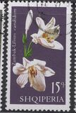 [Flowers - Lilies, type AII]