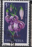 [Flowers - Lilies, type AIH]