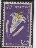 [Jewish New Year, type BP]