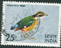 [Indian Birds, tip QE]