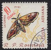 [Butterflies & Moths, Tipi BTG]