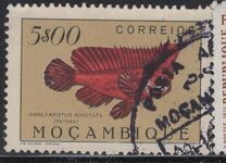 [Fish, Typ CO]