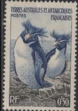 [Penguins and Seals, type B]