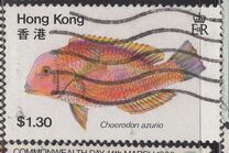 [Fish, 类型 GP]