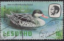 [Birds, Вид LC]
