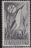 [Water Birds, type YY]