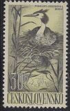[Water Birds, type YZ]