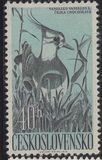 [Water Birds, type ZA]