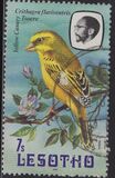 [Birds, Вид LB]