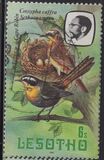 [Birds, Вид LA]