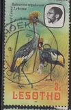 [Birds, Вид KY]