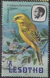 [Birds, Вид LB]