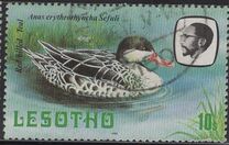 [Birds, Вид LC]