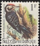 [Birds, نوع BNH]