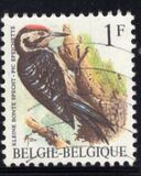 [Birds, نوع BNH]
