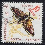 [Butterflies & Moths, Tipi BTG]